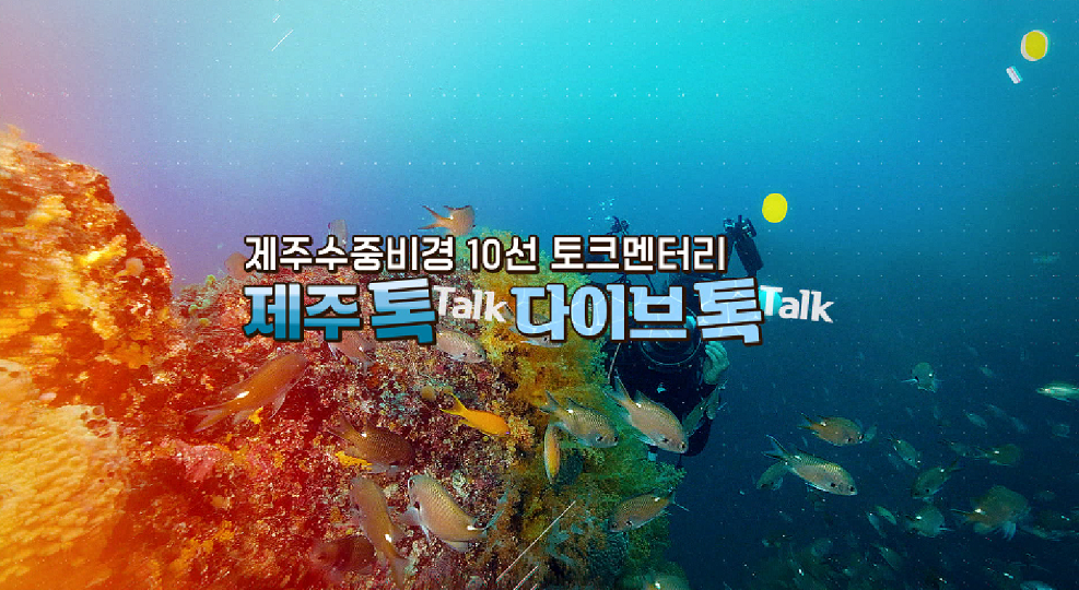 JIBS | 정규프로그램 제주 톡! 다이브 톡!